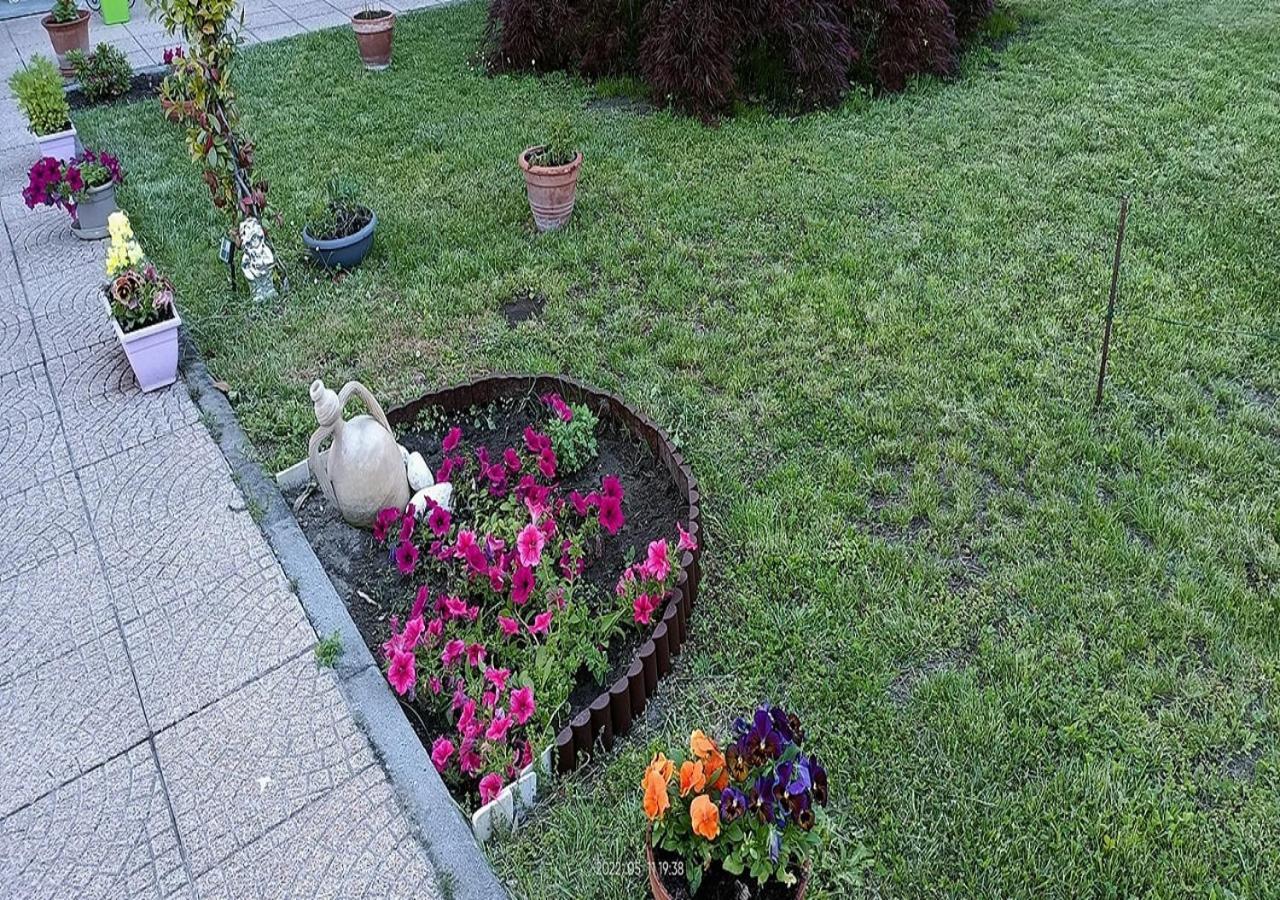 La Magnolia B&B Gassino Torinese Extérieur photo