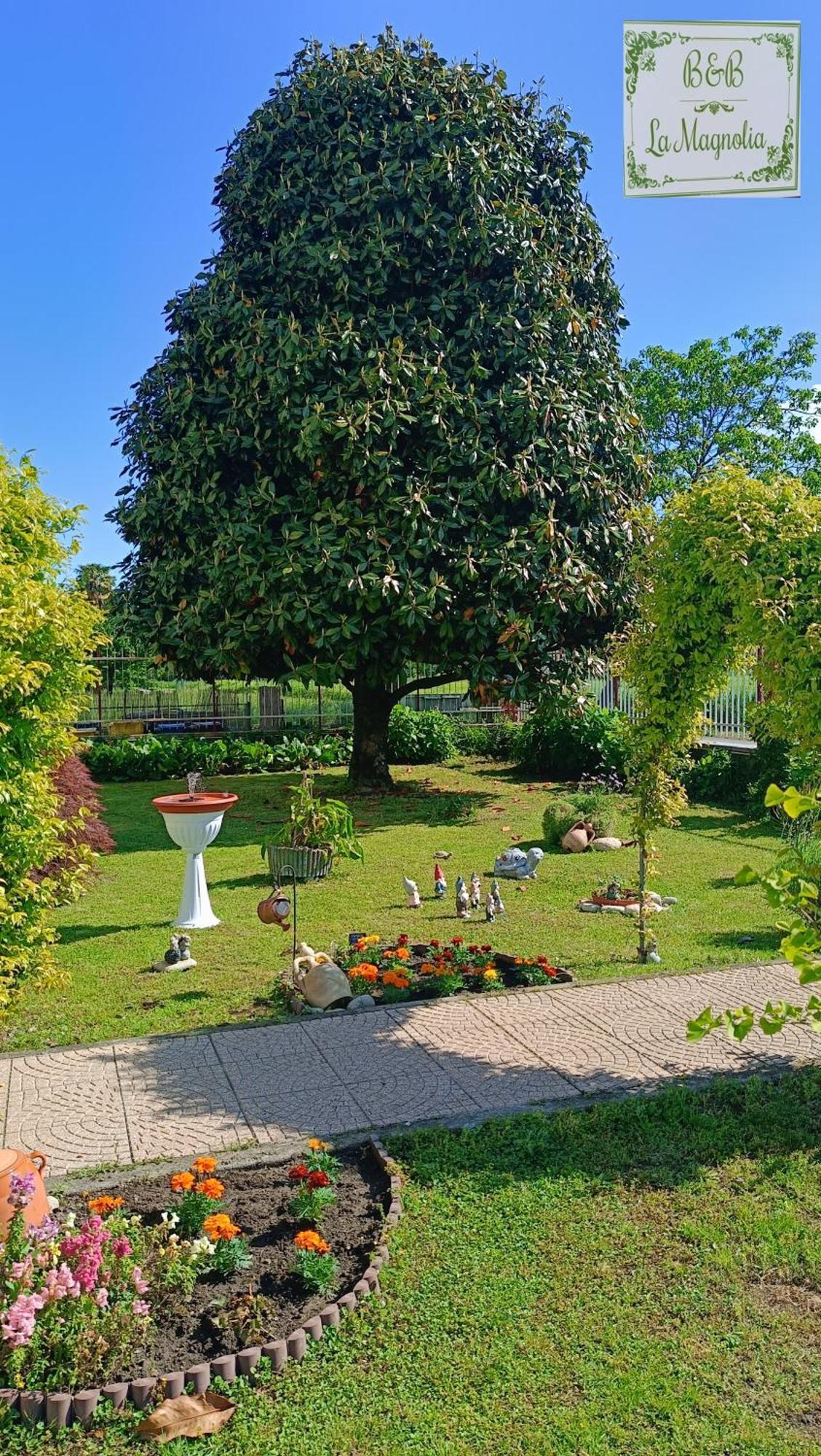 La Magnolia B&B Gassino Torinese Extérieur photo