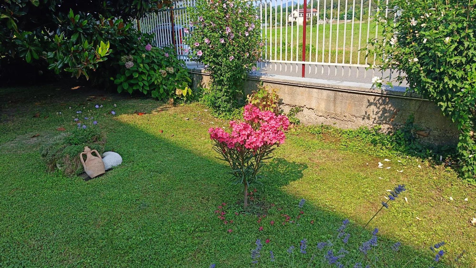 La Magnolia B&B Gassino Torinese Extérieur photo